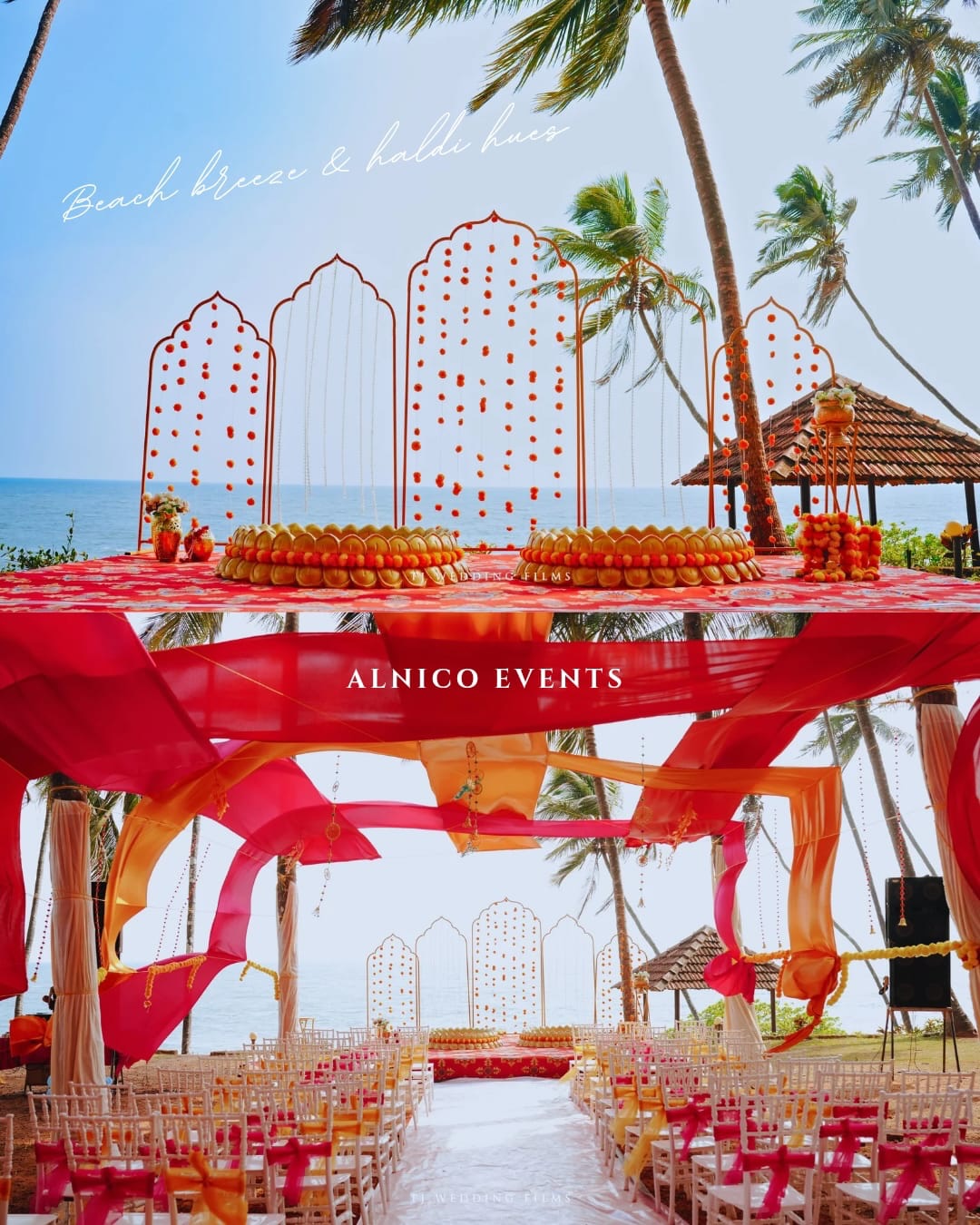 Themed Backdrops
